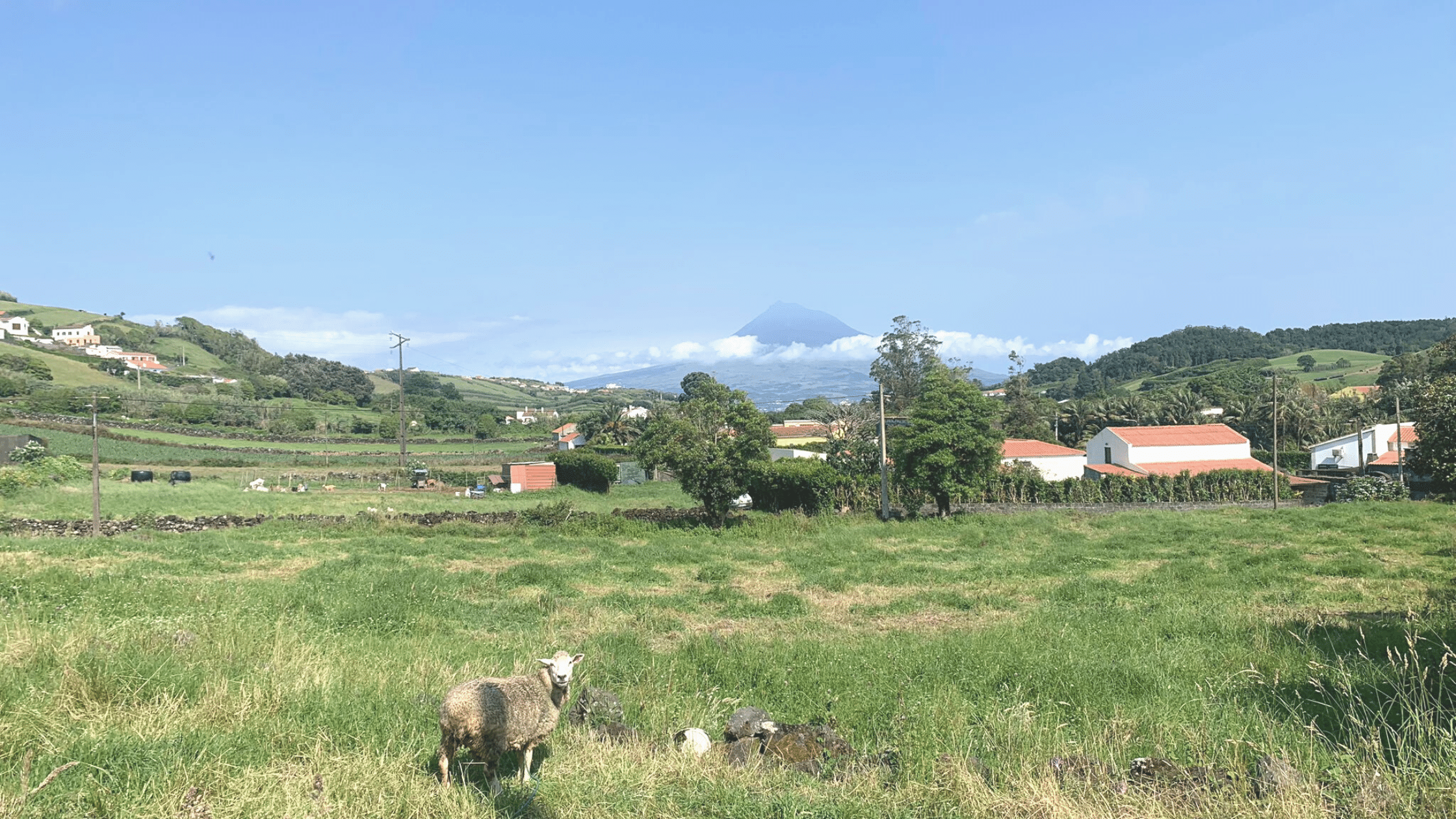 the azores islands by sailboat